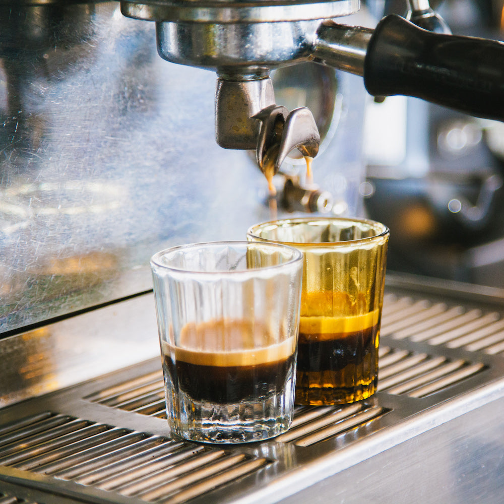 Espressoglas Reed | 7 CL | Amber